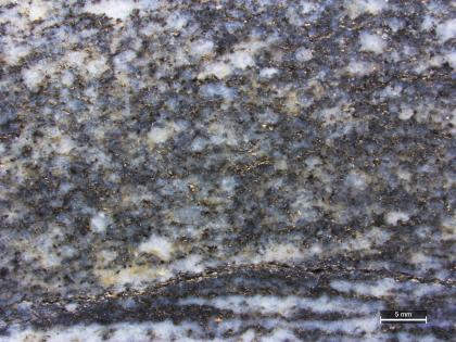 Homogener Paragneis. Homogener Paragneis.