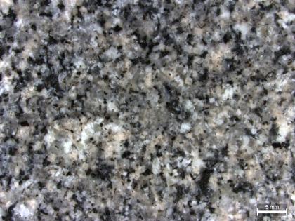 Grauer Malsburg-Granit Detailaufnahme eines Gesteins mit grauem Erscheinungsbild. Neben den sehr häufigen grauen Mineralen finden sich auch helle und schwarze Minerale. Rechts unten befindet sich ein Maßstab.