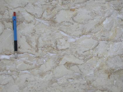 Schwamm-Mikroben-Kalkstein Nahaufnahme von hellgrauem Gestein mit wellenartigen, weißlichen und bräunlichen Einschlüssen. Ein blauschwarzer Kugelschreiber links zeigt die Größenverhältnisse an.