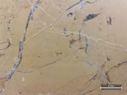 Massiger Kalkstein mit zahlreichen Klüften Detailaufnahme eines beigen, massigen Gesteins mit zahlreichen, kreuz und quer verlaufenden, grauen Klüften. Rechts unten befindet sich ein Maßstab.