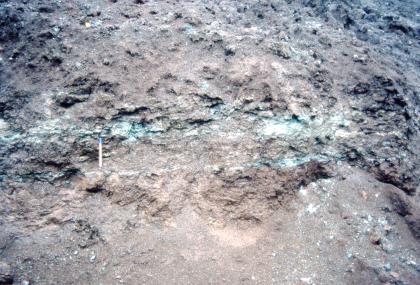 Detailaufnahme der Tonschluffsteine der Abbauwand der Tongrube Maulbronn-Zaisersweiher Teilansicht einer Gesteinswand. Im rötlich braunen, verwitterten Gestein sind in der Bildmitte horizontal verlaufende, grünliche Streifen erkennbar.