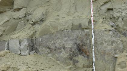 Sandige Zwischenlage in der Tongrube Stockach-Frickenweiler. Sandige Zwischenlage in der Tongrube Stockach-Frickenweiler.