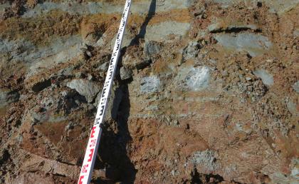 Unterer Tonhorizon in der Tongrube Stockach-Frickenweiler. Unterer Tonhorizon in der Tongrube Stockach-Frickenweiler.