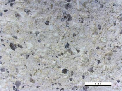 Kaolinisierter Quarzporphyr mit dunkelgrauen Quarzkörnern. Kaolinisierter Quarzporphyr mit dunkelgrauen Quarzkörnern.