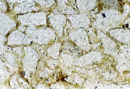 Eisensandstein im Dünnschliff. Eisensandstein im Dünnschliff.