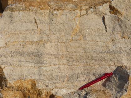 Hauptrogenstein mit konzentrisch-schaligen Karbonatkörnen, den sog. Ooiden. Hauptrogenstein mit konzentrisch-schaligen Karbonatkörnen, den sog. Ooiden.