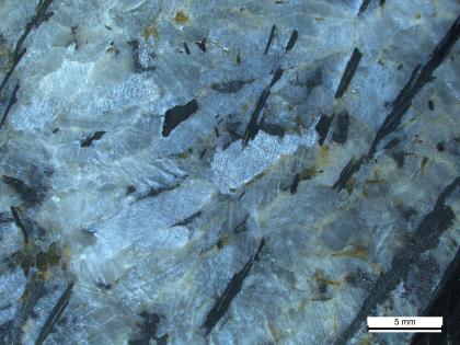 Karbonatit vom Badberg (Kaiserstuhl) Extreme Großaufnahme von hellblauem bis graublauem Gestein. Am linken Rand sowie rechts sind schwarze, schräg verlaufende Streifen zu erkennen.