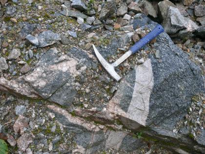 Paragneise mit metatektischen Bereichen Nahaufnahme eines Aufschlusses: Das anstehende Gestein ist dunkelgrau und von hellgrauen Bändern durchzogen. Zwischen den einzlenen Blöcken befindet sich Erde mit kleinen Gesteinsbruchstücken. Auf dem Aufschluss liegt ein Hammer.