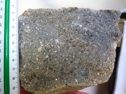 Münstertal-Quarzporphyr  Handstück eines Gesteins, welches eine graugrüne, feinkristalline Grundmasse mit dunkelgrauen, braunen und weißen Einsprenglingen aufweist. Am linken Bildrand befindet sich ein Maßstab, das Handstück hat eine Kantenlänge von etwa 9 cm.