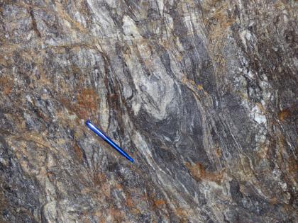 Metatektische Paragneise im Untertage-Aufschluss Nahaufnahme eines Gesteins, welches helle und dunkle Bereiche aufweist. Diese Bereiche sind miteinander verschlungen. Teilweise ist das Gestein orangerot angewittert. Auf dem Gestein liegt ein blauer Kugelschreiber als Maßstab.
