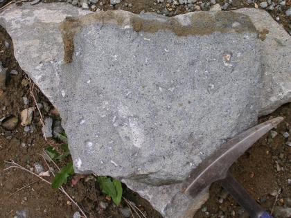 Phonolith aus dem Steinbruch Endhalen Phonolith aus dem Steinbruch Endhalen