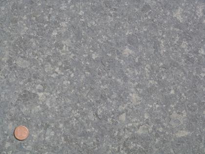 Gesteinsplatte aus dem Posidonienschiefer. Gesteinsplatte aus dem Posidonienschiefer.