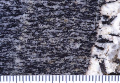 Flasergneis, Steinbruch Hausach-Hechtsberg Nahaufnahme einer grauschwarzen Gesteinsoberfläche mit Wellenmuster. Rechts schließt sich ein schmaler, leicht schräg verlaufender weißer Streifen mit schwarzen Einschlüssen an.