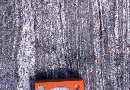 Metatexit, Fahl südlich Feldberg Nahaufnahme einer senkrecht gestreiften, weißlich grauen Gesteinsoberfläche. Am unteren Bildrand ist ein Messgerät mit orangener Hülle erkennbar.