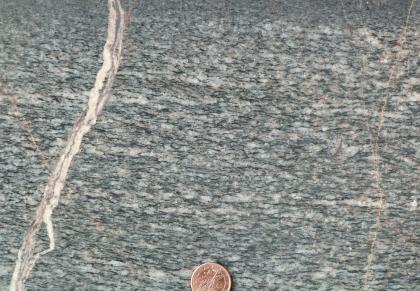 Paragneis, Steinbruch Oberharmersbach-Renchen Nahaufnahme einer graublauen Gesteinsoberfläche, durchsetzt mit helleren Stellen. Links verläuft ein weißlicher, leicht gebogener Streifen im Stein, rechts ein ganz dünner. Unten am Bildrand dient eine Cent-Münze als Größenvergleich.