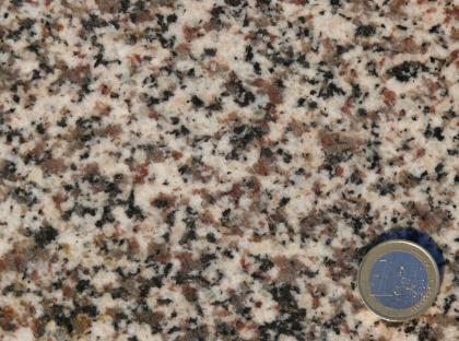 Schwarz-weiß-rot gesprenkelter Granodiorit des Weschnitz-Plutons Nahaufnahme einer hellen Gesteinsoberfläche mit schwarzen und rötlichen Sprenkeln. Rechts unten dient eine Euro-Münze als Größenvergleich.