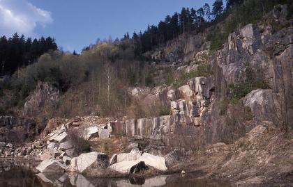 Raumünzach-Granit für die Schwarzenbachtalsperre im benachbarten Kirchenbruch Blick auf ein nach rechts ansteigendes, terrassiertes und teils stark von Bäumen und Sträuchern zugewachsenes Steinbruchgelände. Im Vordergrund, vor einigen losen Blöcken, steht Wasser.