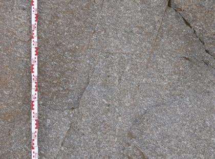 Einregelungen der Feldspäte an der Steinbruchwand in Forbach-Raumünzach Nahaufnahme einer grauen Gesteinsoberfläche, die von mehreren feinen, teils schräg, teils waagrecht verlaufenden Bruchlinien durchzogen ist. Links dient ein Maßband als Größenvergleich.