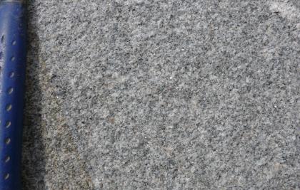 Feinkörniger Seebach-Granit aus dem Steinbruch der Fa. VSG Schwarzwald-Granit-Werke Nahaufnahme einer kristallinen Gesteinsoberfläche, grau bis hellgrau, mit feinen bräunlichen Streifen. Der Griff eines Hammers am linken Bildrand dient als Größenvergleich.