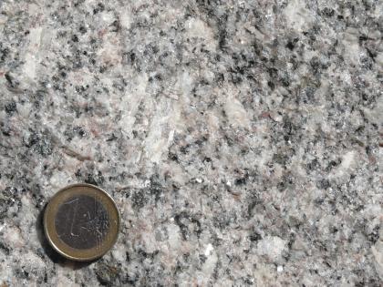 Forbach-Granit und Raumünzach-Granit: Steinbruch Forbach-Raumünzach, Murgschifferschaftsbruch Blick auf eine kristalline Gesteinsoberfläche, Farbe grau mit weißlichen Stellen. Links unten liegt eine Euro-Münze.