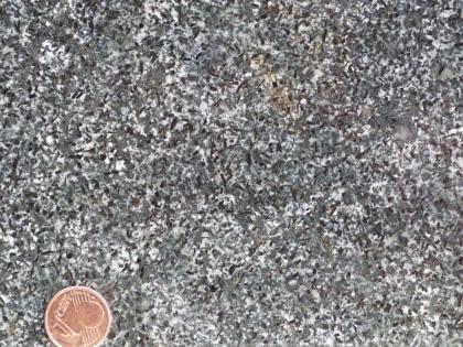 Glimmerdiorit: Steinbruch Fröhnd im Wiesental Nahaufnahme einer Gesteinsoberfläche, Farbe grau bis dunkelgrau mit weißen Spitzen. Links unten liegt eine Cent-Münze.