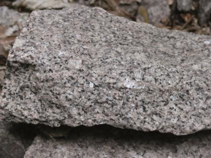 Heidelberg-Granit vom Wildeleutstein am Eichelberg Nahaufnahme eines länglichen Steinbrockens. In die hellgraue Grundfarbe mischen sich rosa, weiße und schwarze Sprenkel.