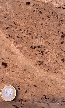 Angeschnittener Kalktuff aus dem Steinbruch bei der Oberen Sägmühle Nahaufnahme einer geschliffenen, rotbraunen Gesteinsoberfläche mit kleineren Hohlräumen. Links unten dient eine Euro-Münze als Größenvergleich.