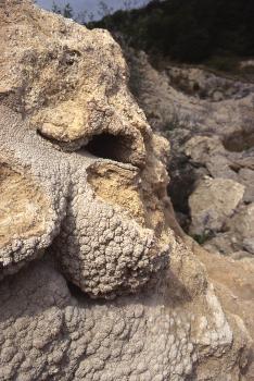 Blumenkohltuff, Steinbruch Wutach-Lembach Detailaufnahme von gelblich grauem Gestein, mit blumenkohlartigen Ausprägungen und von links oben nach rechts unten verlaufender Bruchkante.
