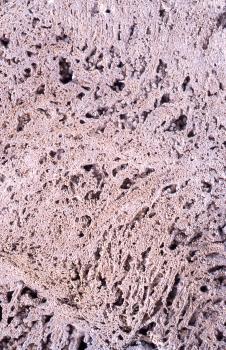 Gut verfestigter Kalktuff aus dem alten Steinbruch beim Rathaus in Seeburg Nahaufnahme einer rötlich grauen Gesteinsoberfläche mit kleineren Hohlräumen.