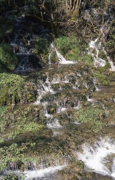 Rezente Bildung von kleinen Kalktuffterrassen in einem Bach bei der Wimsener Höhle nahe Zwiefalten Blick auf einen Bach mit Wasserfall. In kleinen und niedrigen Stufen oder Terrassen fließt das Wasser von links oben nach rechts unten. Die Seiten des Bachlaufs sind bewachsen.