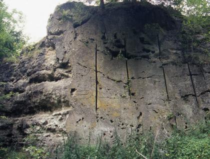 Kalktuffwand im alten Abbau der Fa. Schwarz bei Gönningen Blick auf eine graue Steinbruchwand mit Schnittkante auf der rechten Bildseite sowie mehreren tiefen, senkrecht verlaufenden Furchen.