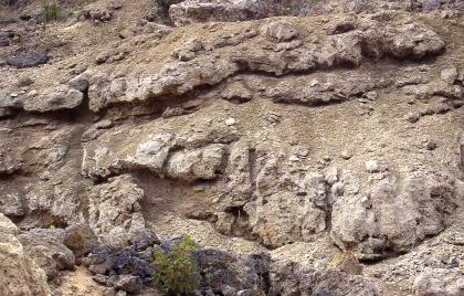 Westliche Abbauwand in der Kalktuffgrube der Fa. Rehm im Rohrbachtal (RG 8216-1) bei Wutach-Lembach Detailansicht einer Gesteinswand. Das Gestein ist grünlich grau und teils locker, teils verfestigt. Eine flache, längliche Scholle liegt oben auf einem größeren Block auf.