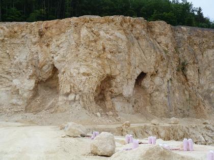 Massige und gebankte Jurakalke Blick auf eine bräunlich graue Kalksteinwand in einem Steinbruch. Im unteren Teil sind mehrere Nischen und Höhlungen in die Wand gegraben. Im Vordergrund rechts befindet sich eine tiefere Sohle, davor liegen Blocksteine.