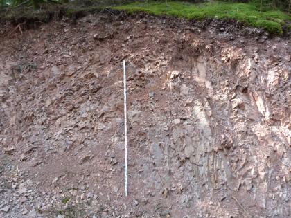 Durch oberflächennahe Prozesse zerstückelter, z. T. vergrusender Kienbach-Granit Aufschluss eines rosagrauen, stark zerstückelten Granits. Oberhalb folgen schluffige, sandige Blockschuttmassen und eine bemooste Grasnarbe als Profilabschluss.