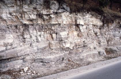 Aufschluss im Kieselsandstein bei Jagstzell Blick auf einen Gesteinshang an einer Straße mit unterschiedlichen Gesteinsformen. Oben rechts ist eine Bewaldung des Hanges erkennbar.