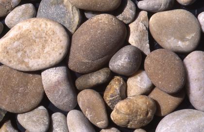 Kiesgerölle aus Quarziten Nahaufnahme von kleineren und größeren Kieselsteinen, teils flach, teils rundlich. Die Farben reichen von hellem Grau bis zu Brauntönen.