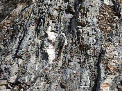 Wechselfolge aus Metagrauwacken und Metapeliten mit sigmoidalen Quarzlinsen Nahaufnahme von freiliegendem, vertikal gebanktem, grauem Gestein mit weißen Einschlüssen.