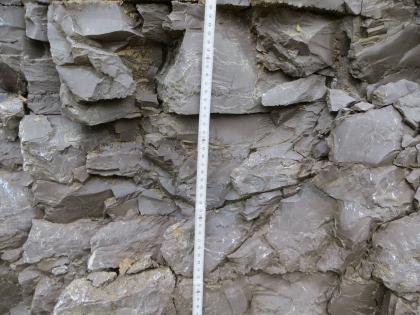 Mikritischer Kalkstein mit Tonmergelfugen Mikritischer Kalkstein mit Tonmergelfugen