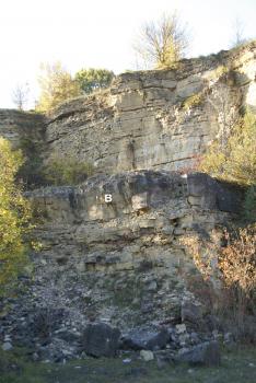 Das Bild zeigt eine an den Rändern bewachsene Steinbruchwand aus gelblich grauem Gestein. Im Vordergrund liegen lose blaugraue Blöcke.