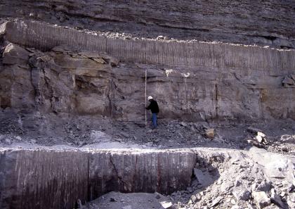 Ostteil des Steinbruchs Satteldorf-Neidenfels Das Foto zeigt mehrere Sohlen und Wände eines Steinbruches. Das bläulich graue Gestein ist teils senkrecht gefurcht, teils waagrecht gebankt. Auch gröbere Blöcke sind erkennbar. In der Bildmitte ist ein Mann mit Maßstab zu sehen.