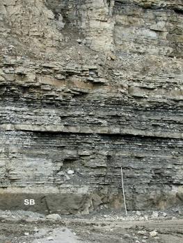 Blick auf eine grünlich graue Steinbruchwand, durchzogen von dünnbankigen, bläulich grauen Schichten (untere Bildhälfte). Am Fuß der Wand ist ein Maßstab angelehnt.
