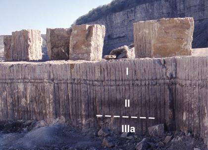 Westteil des Steinbruchs Satteldorf-Neidenfels Blick auf eine graue bis blaugraue Steinbruchsohle, senkrecht und waagrecht gefurcht, mit eingefügter Gliederung. Auf der Kuppe der Sohle stehen einzelne herausgelöste Steinblöcke. Dahinter ist eine weitere Bruchwand erkennbar.