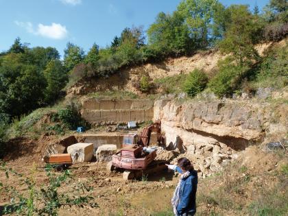 Oberes Lager und Top des Mittleren Lagers im Steinbruch O. Meier bei Tengen Blick von oben auf ein kesselartiges Steinbruchgelände. Unterhalb eines nach rechts ansteigenden Hügels ist eine halbhohe Bruchwand aufgeschlossen. Davor steht ein Bagger. Einzelne ausgelöste Blöcke liegen links daneben.