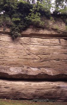 Alte Abbauwand mit 0,8 m mächtiger Kalksandsteinbank im Stadtgarten Überlingen Teilansicht einer rötlich braunen Gesteinswand, mit waagrecht verlaufendem Hohlraum in der unteren Bildhälfte. Weiter oben, unterhalb der bewachsenen Kuppe, verläuft ein weiterer, jedoch schmälerer Hohlraum.