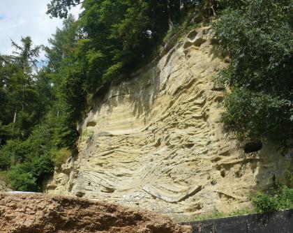Alter Sandsteinbruch in der Oberen Meeresmolasse bei Pfullendorf. Weitaufnahme Blick auf eine gelblich graue, an den Seiten und der Kuppe stark bewachsene Steinbruchwand. Die Wand weist zudem zahlreiche Furchen, Hohlräume sowie eine Innenwölbung auf.