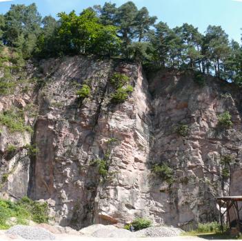 Abbauwand des Baden-Baden-Quarzporphyrs Das Bild zeigt eine mit Vegetation durchzogene Abbauwand eines hellrötlichen Gesteins.