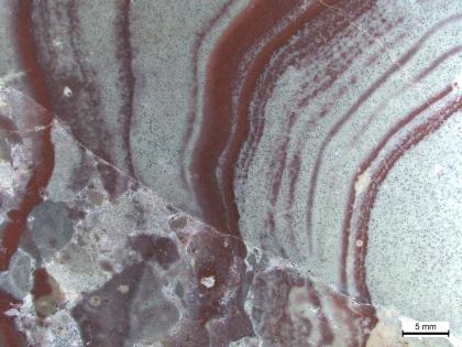 Detailaufnahme eines verkieselten Quarzporphyr-Tuffes Vergrößerte Aufnahme einer hellgrauen Gesteinsoberfläche mit rötlichen und grünlichen Schlieren, die nach oben und rechts strich- bis bogenförmig verlaufen. Von links nach rechts unten verläuft zudem ein Riss mit anschließender, veränderter Struktur.