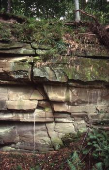 Teilansicht einer offenen Gesteinswand in einem Wald. Der obere Teil ist bemoost und überwachsen, der untere Teil zeigt rötlich graues, unregelmäßig aufliegendes Gestein.