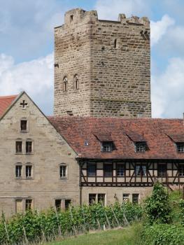 Blick auf eine Burg mit neueren Wirtschaftsgebäuden aus hellbraunem Mauerwerk (rechts zusätzlich mit Fachwerk) sowie dahinter aufsteigendem, viereckigem Turm. Im Vordergrund sind Weinstöcke angelegt.