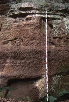 Historische Abbauwand im Schilfsandstein von Stimpfach-Randenweiler Blick auf eine ältere, rötlich graue Steinbruchwand mit weißlichen und grünen Verfärbungen oben und unten sowie leicht schräg verlaufenden Einkerbungen.